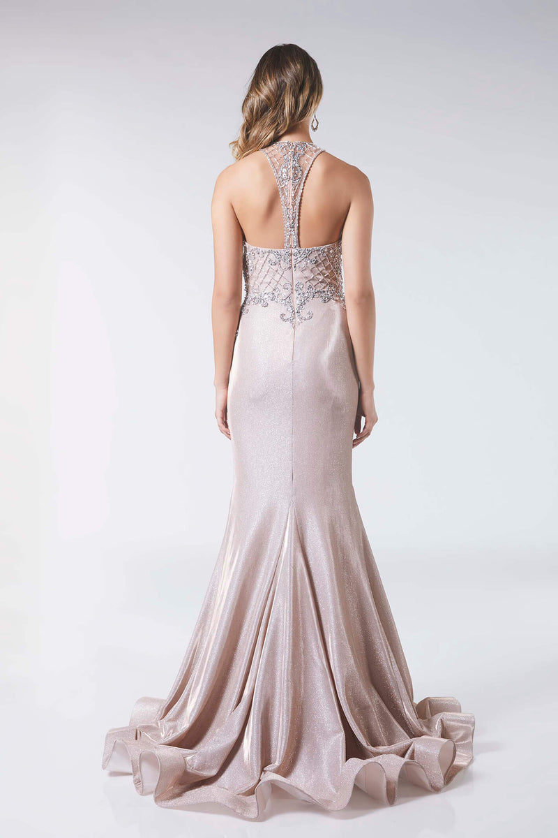 Tiffany Illusion Aimee Champagne Prom ...